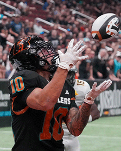 Rattlers.SD